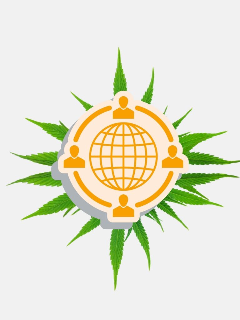 cannabis website management team