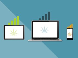 Cannabis-Based Business website results