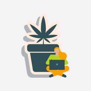 cannabis based web design