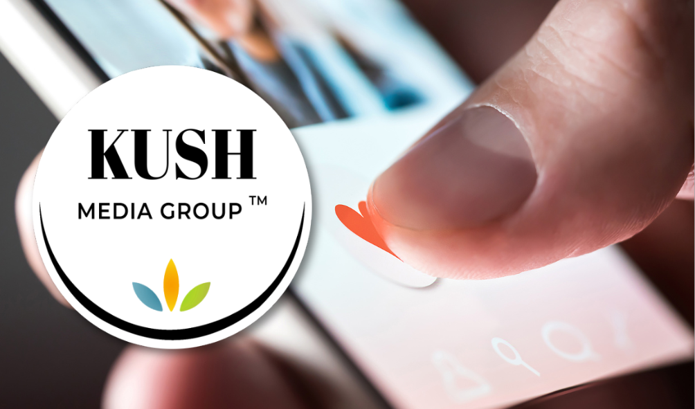 Instagram Stories vs. Feed What Works Best for Cannabis Marketing